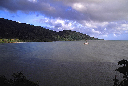 Cape Tribulation photo