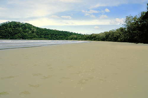 Cape Tribulation photos