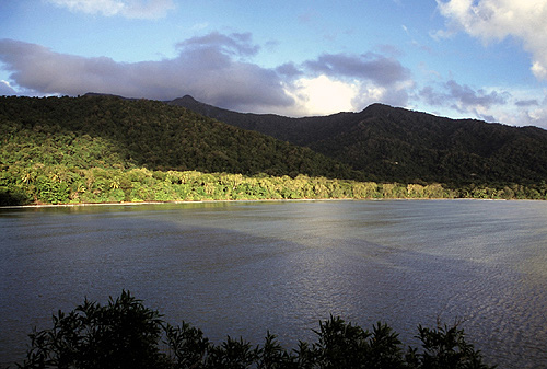 Cape Tribulation photo