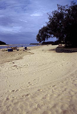 Burleigh Heads photo