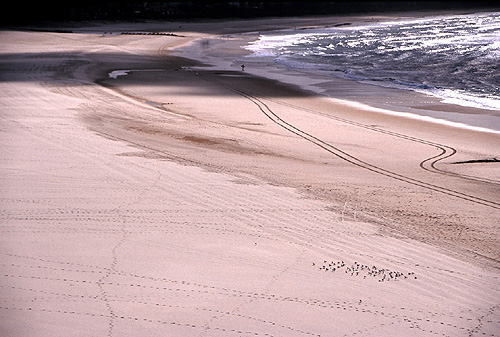 Coolangatta Beach photo