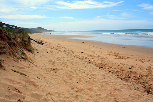 Sandy Coastline photo