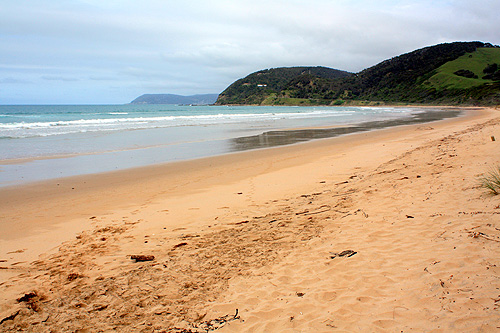 Beach at the Great Ocean Road photo