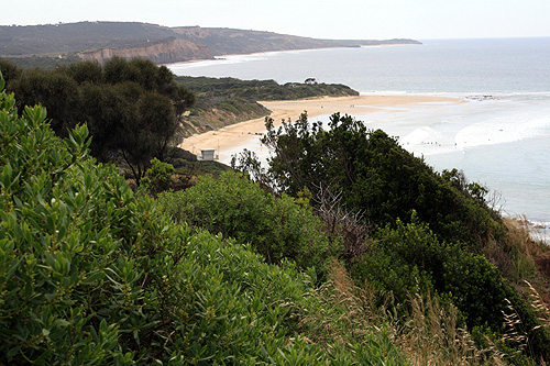 Anglesea Beach photo