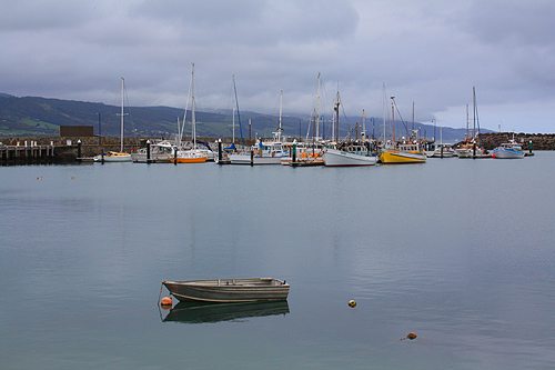 Apollo Bay Harbour photo