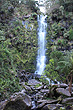 Erskine Falls photo