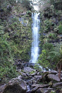 Erskine Falls Portrait photo