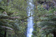 Erskine Falls photo