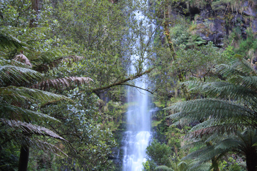 Erskine Falls & Bush photo