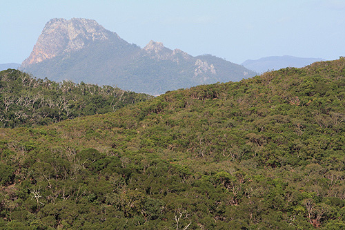 Hamilton Island & Perserverance Island photo