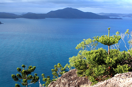 Hamilton Island photo