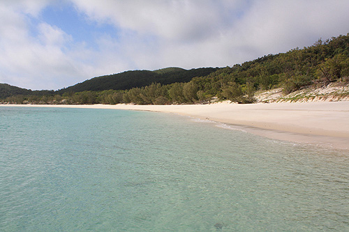 Chalkies Beach Haslewood Island photo