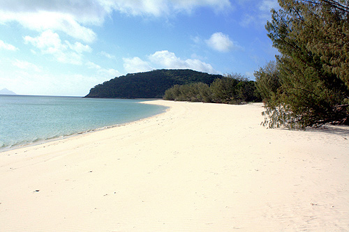 White Chalkies Beach Haslewood Island photo