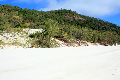 Chalkies Beach & Bushland photo