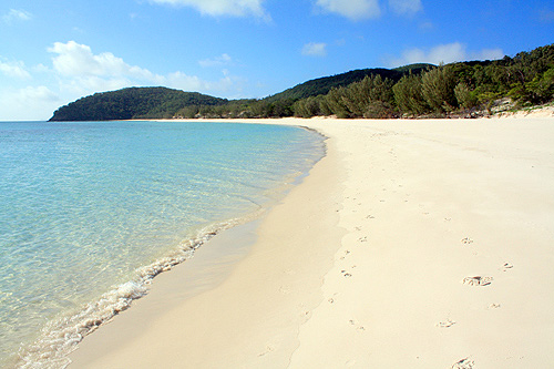 Chalkies Beach & Bushland photo