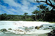 Jervis Bay photo