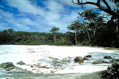 Jervis Bay photo