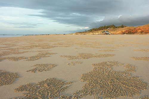 Cable Beach Western Australia