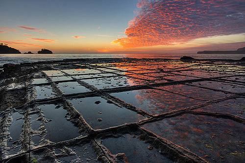 Tessellated Pavement photo