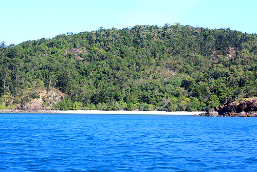 Whitsunday Cove photo