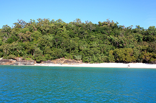 Whitsunday Cove photo