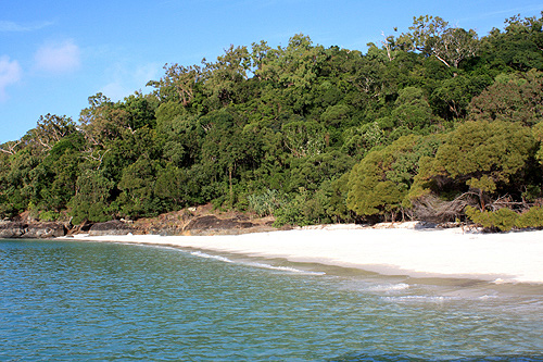 Rainforest Sand Water photo