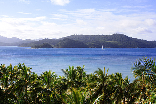 Looking at Whitsunday Island photo