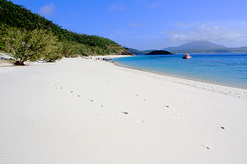 Southern View of Haslewood Island photo