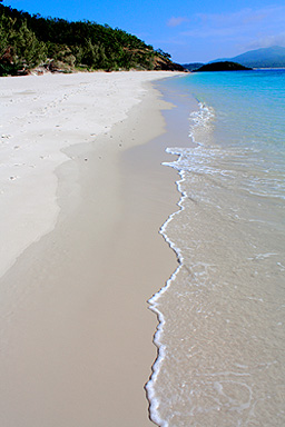 Haslewood Beach Portrait photo