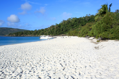 White Sand on Whitehaven Beach photo