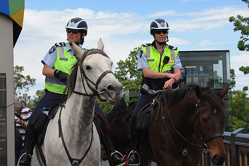 Melbourne Police on Horseback photo