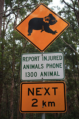 Koala Road Sign photo