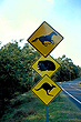 Road Sign of a Kangaroo and Wombat photo
