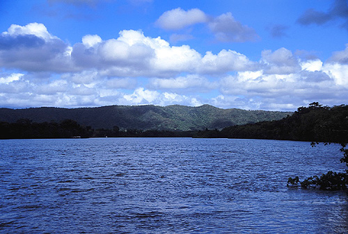 Daintree River photo