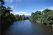 Daintree River photo