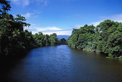 Daintree River photo