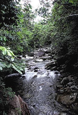 Mossman River photo