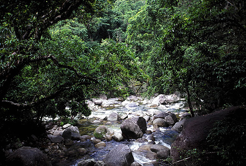 Mossman River photo