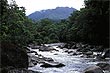 Mossman River photo