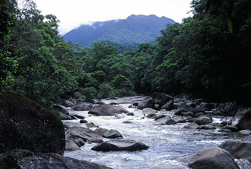 Mossman River photo