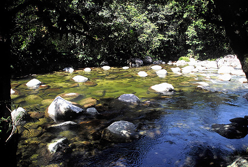 Mossman River photo