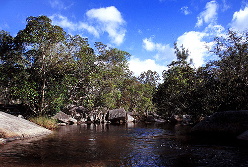 Davies Creek photo