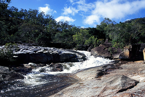 Davies Creek photo