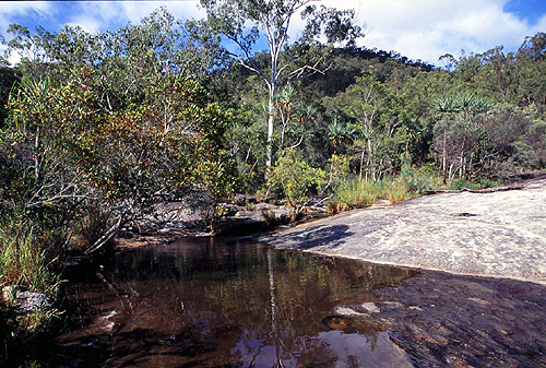 Davies Creek photo