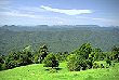 Dorrigo National Park