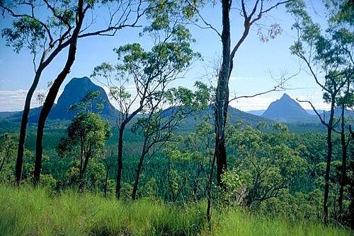 Glass House Mountains photo