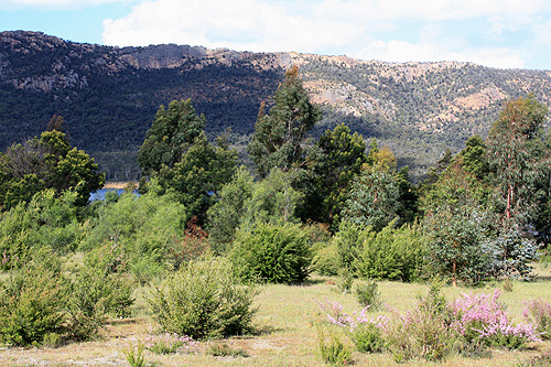 Lake Bellfield photo