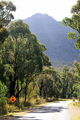 Barney Creek Road and Mt Mitchell photo