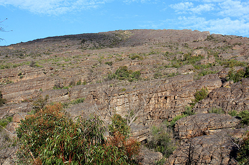 Grand Canyon area photo