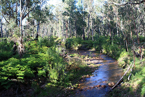 Fyans Creek photo